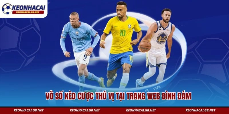 Vô số kèo cược thú vị tại trang web đình đám 